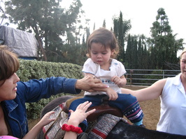 From Camera 126.jpg